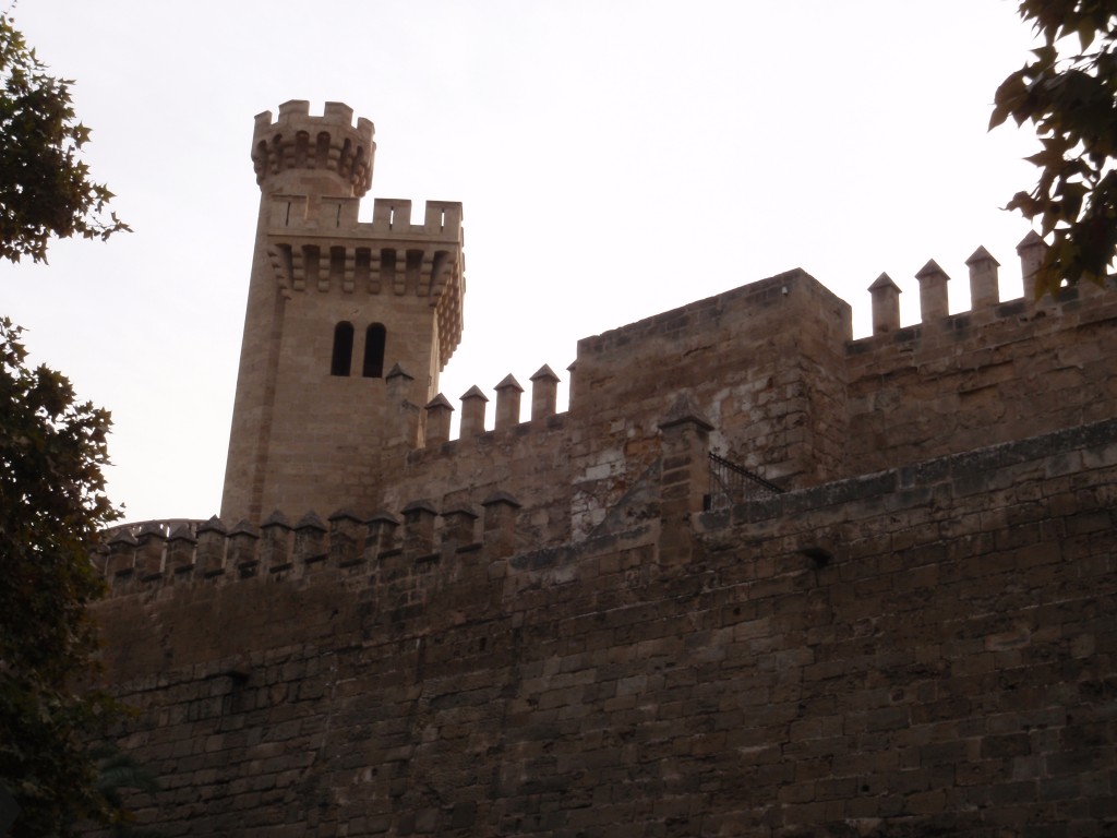 sm_AR_P9021618.JPG
