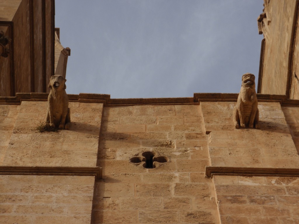 sm_AR_P9021650.JPG