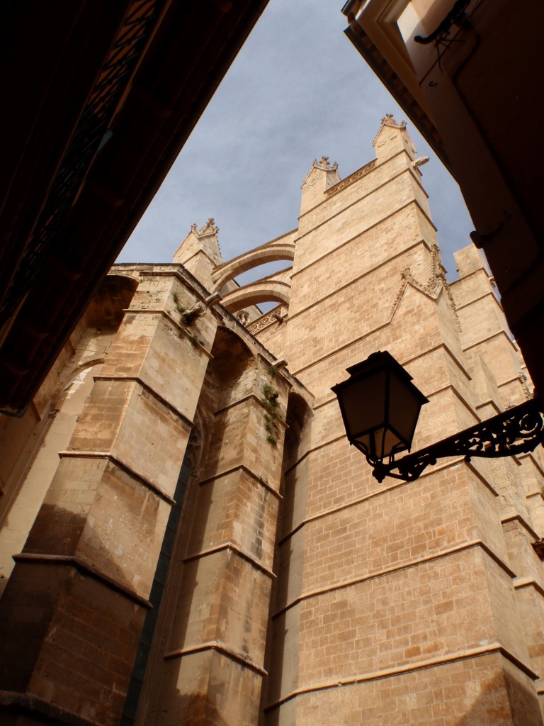sm_AR_P9021669.JPG