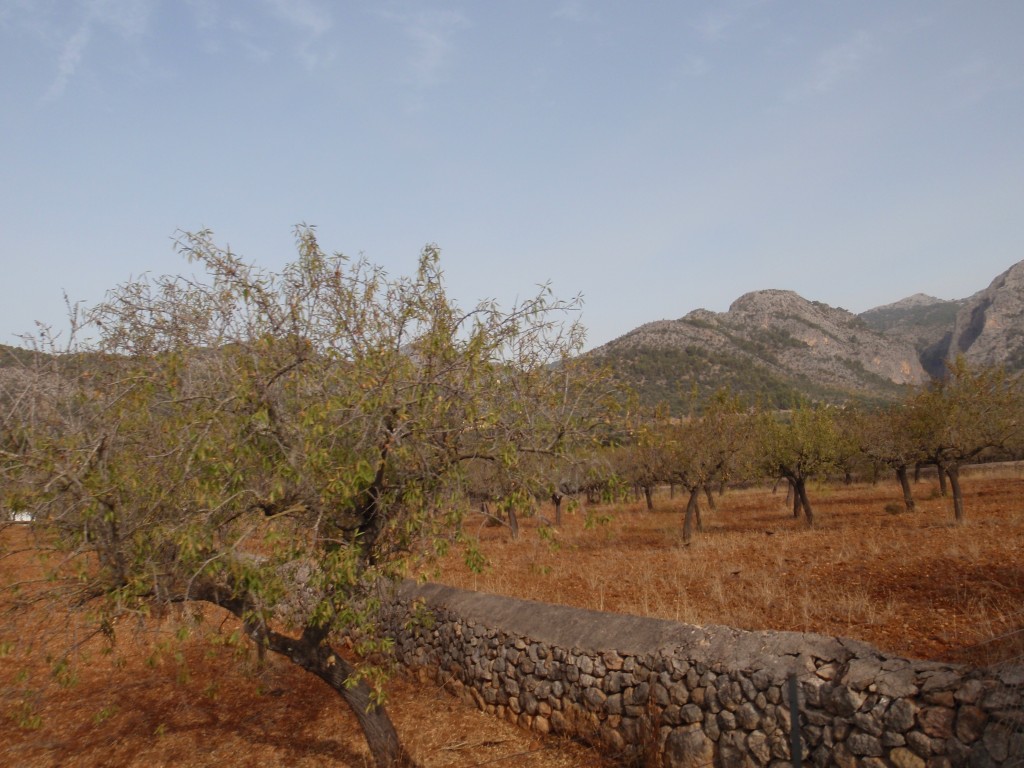 sm_AR_P9021725.JPG