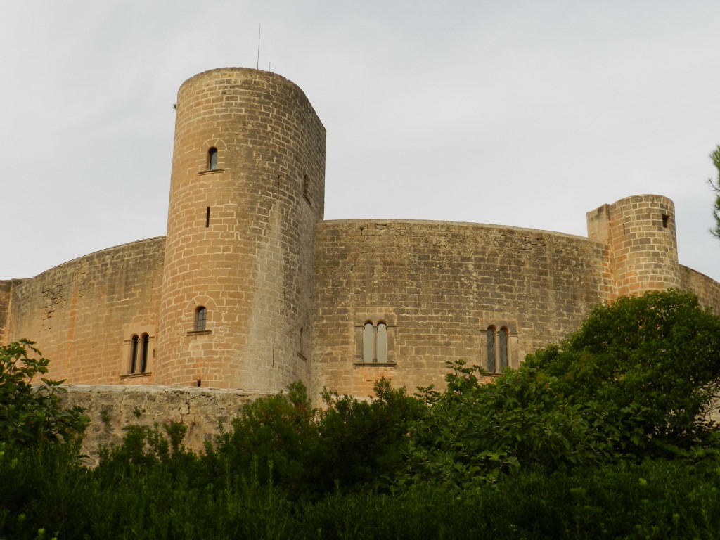 sm_DSCN5944.JPG