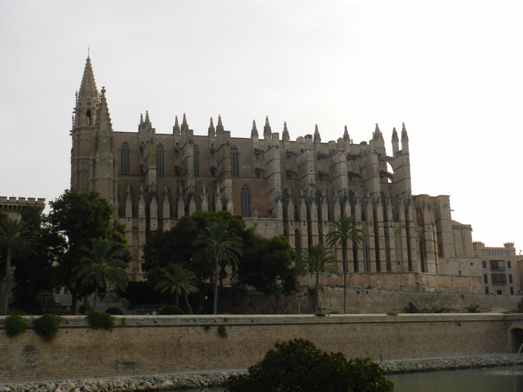 sm_DSCN5986.JPG