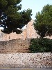 sm_AR_P9021557.JPG
