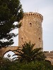 sm_AR_P9021563.JPG