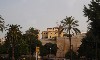 sm_AR_P9021575.JPG