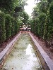 sm_AR_P9021616.JPG