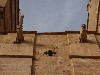 sm_AR_P9021650.JPG