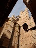 sm_AR_P9021669.JPG