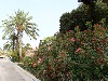 sm_AR_P9021684.JPG