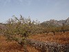 sm_AR_P9021725.JPG