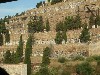 sm_AR_P9031969.JPG