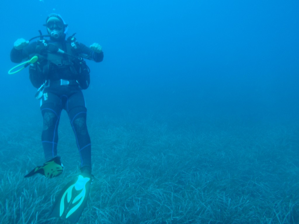 sm_AR-P5242801.JPG