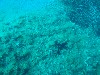 sm_AR-P5242800.JPG