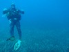 sm_AR-P5242801.JPG