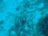 sm_AR-P5242803.JPG
