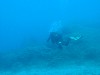 sm_AR-P5242807.JPG