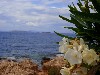 sm_AR-P5242812.JPG