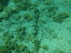 sm_P5248830.JPG