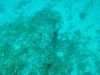 sm_P5248840.JPG