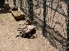 sm_P5258876.JPG