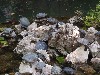 sm_P5258943.JPG