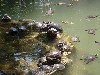 sm_P5258951.JPG