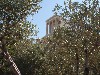 sm_AR-P5262886.JPG