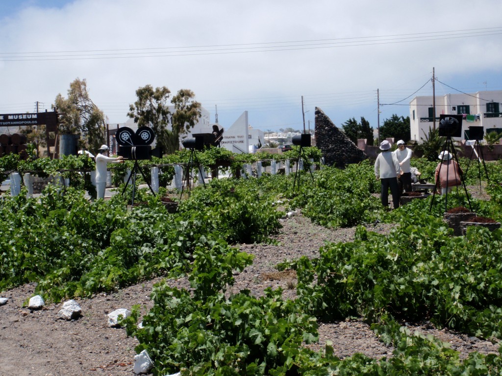 sm_AR-P5283403.JPG