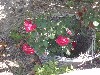 sm_AR-P5283400.JPG