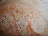 sm_AR-P5283424.JPG