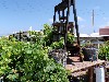 sm_P5289309.JPG