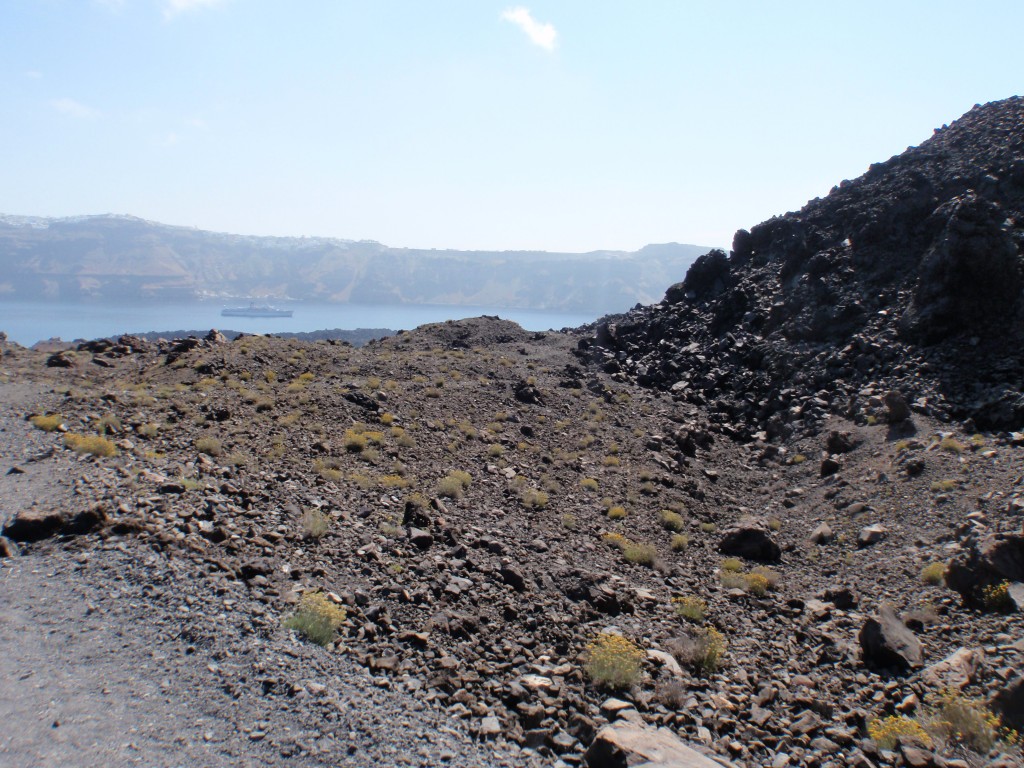 sm_AR-P5293527.JPG
