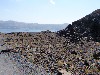 sm_AR-P5293527.JPG