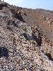 sm_AR-P5293532.JPG