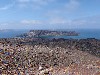 sm_P5299459.JPG