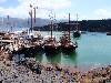 sm_P5299472.JPG