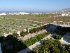 sm_P5299538.JPG