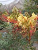 sm_AR-P5303750.JPG