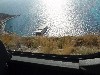 sm_AR-P5303768.JPG