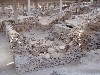 sm_P5309612.JPG