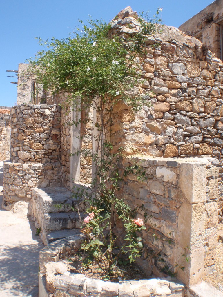sm_AR-P5313874.JPG