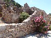 sm_AR-P5313866.JPG