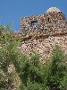 sm_AR-P5313894.JPG