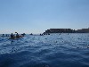 sm_P5319664.JPG