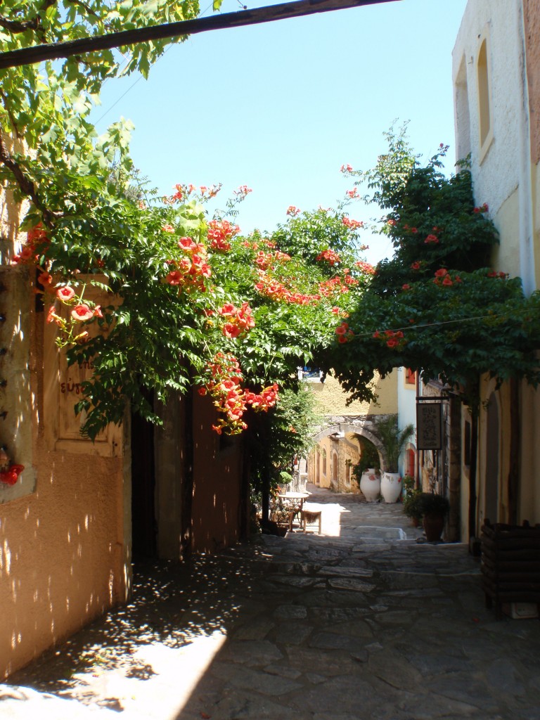 sm_AR-P6014118.JPG