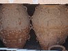 sm_AR-P6013996.JPG