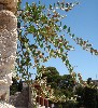 sm_AR-P6014027.JPG