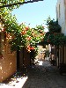 sm_AR-P6014118.JPG