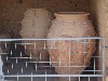 sm_P6019862.JPG