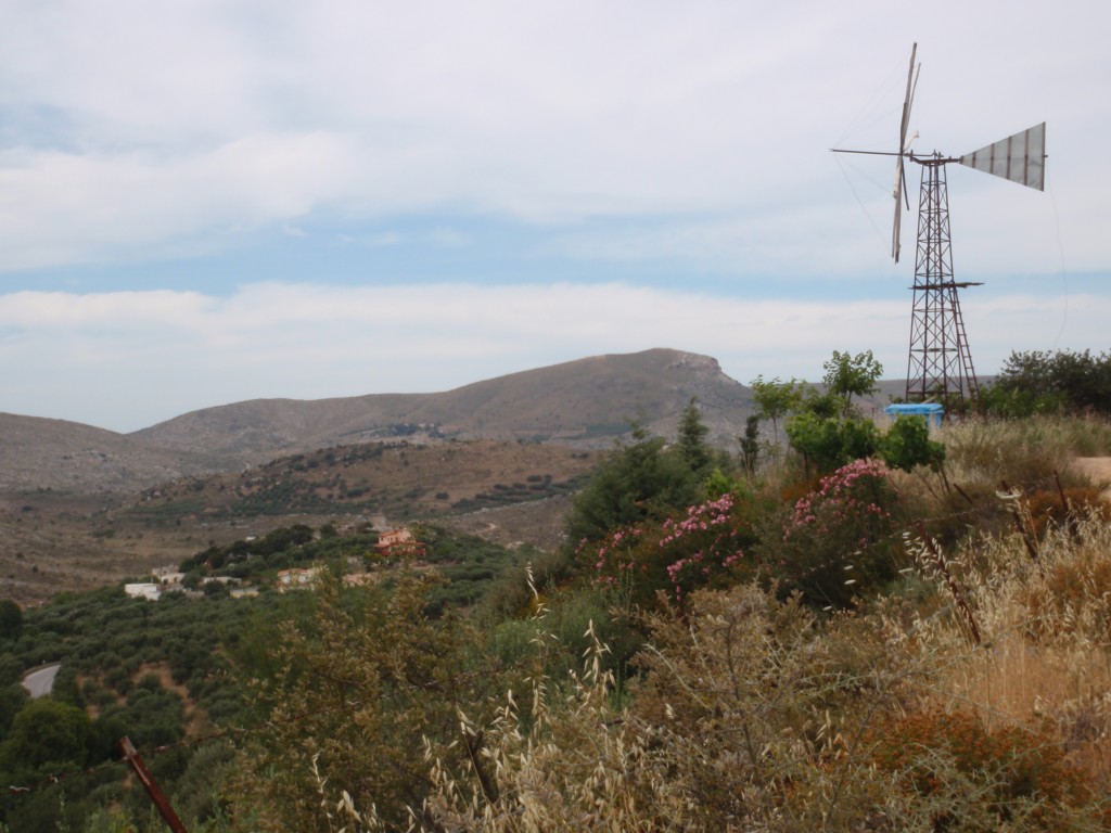 sm_AR-P6024261.JPG